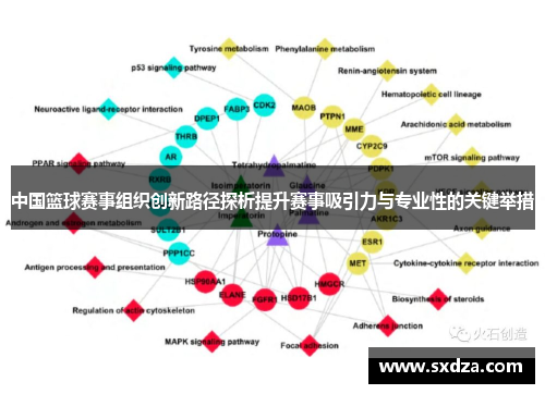 中国篮球赛事组织创新路径探析提升赛事吸引力与专业性的关键举措