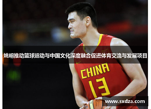 姚明推动篮球运动与中国文化深度融合促进体育交流与发展项目