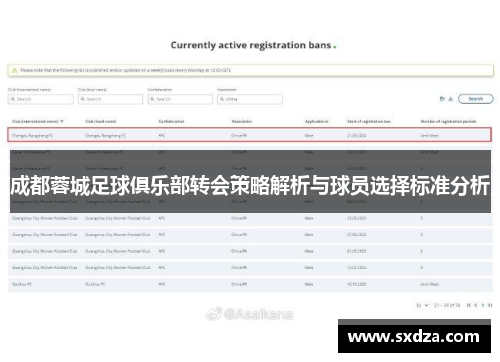 成都蓉城足球俱乐部转会策略解析与球员选择标准分析