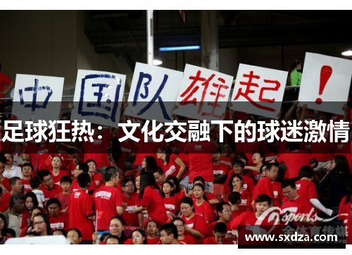 足球狂热：文化交融下的球迷激情